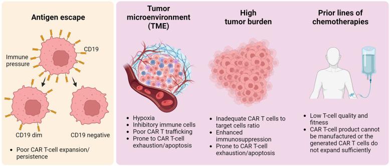 https://cdn.ncbi.nlm.nih.gov/pmc/blobs/def6/10811220/11b6532513bf/fped-11-1305657-g001.jpg