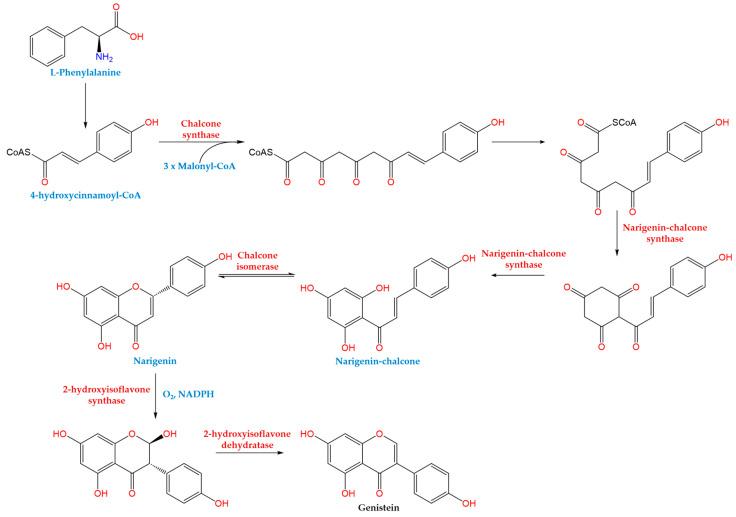 https://cdn.ncbi.nlm.nih.gov/pmc/blobs/defa/11122029/335d0a0600b4/ijms-25-05556-g002.jpg