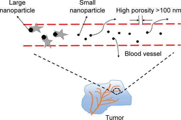 https://cdn.ncbi.nlm.nih.gov/pmc/blobs/defa/5713688/8f78cb51a417/ijn-12-8483Fig1.jpg