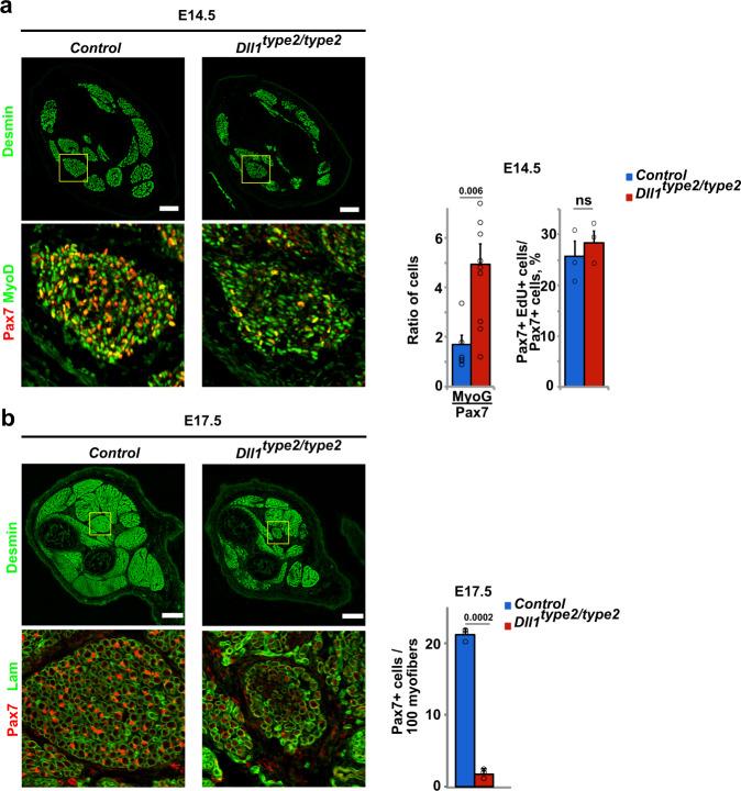 https://cdn.ncbi.nlm.nih.gov/pmc/blobs/defe/7910593/505479ea14ac/41467_2021_21631_Fig8_HTML.jpg