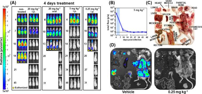 https://cdn.ncbi.nlm.nih.gov/pmc/blobs/deff/10544003/fd5304e9b6f4/jm3c01051_0004.jpg