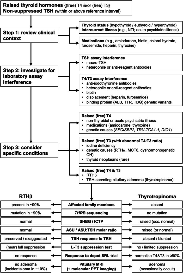 https://cdn.ncbi.nlm.nih.gov/pmc/blobs/deff/11301568/e571bb21c5b8/ETJ-24-0125fig1.jpg