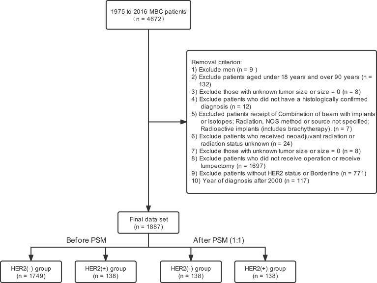 https://cdn.ncbi.nlm.nih.gov/pmc/blobs/deff/9344591/9675e7252df3/fendo-13-874815-g001.jpg