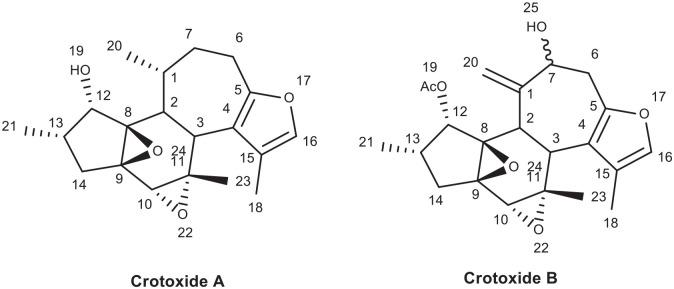 https://cdn.ncbi.nlm.nih.gov/pmc/blobs/df00/9516429/a56d316cc31f/10.1177_11779322221125605-fig6.jpg