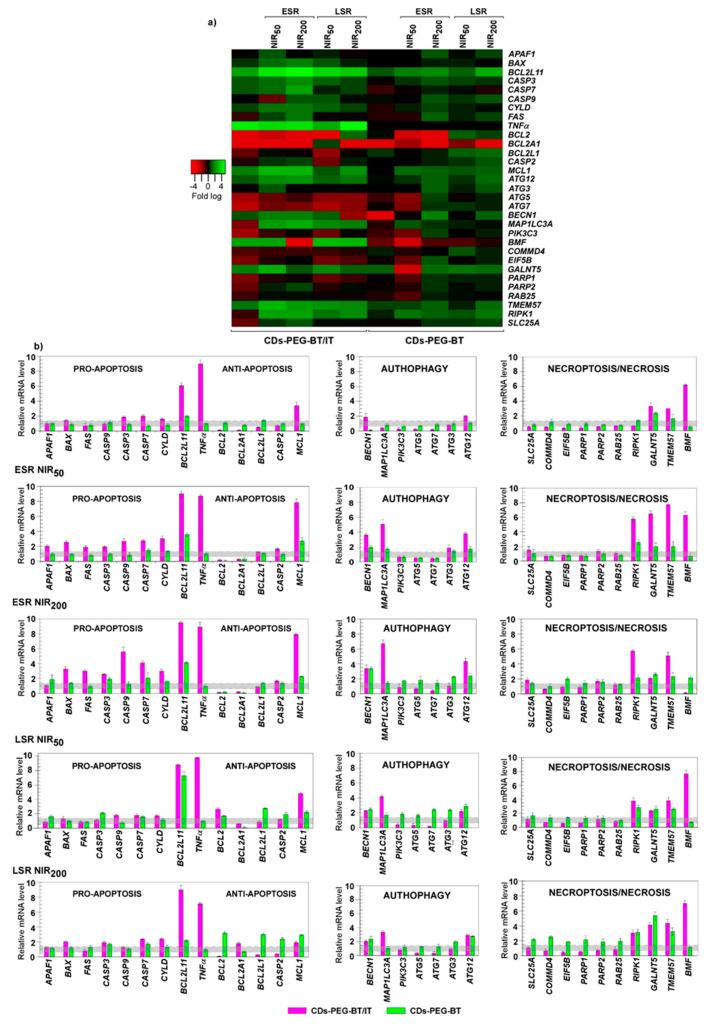 https://cdn.ncbi.nlm.nih.gov/pmc/blobs/df02/7692354/1e3fd857fae2/cancers-12-03114-g006.jpg