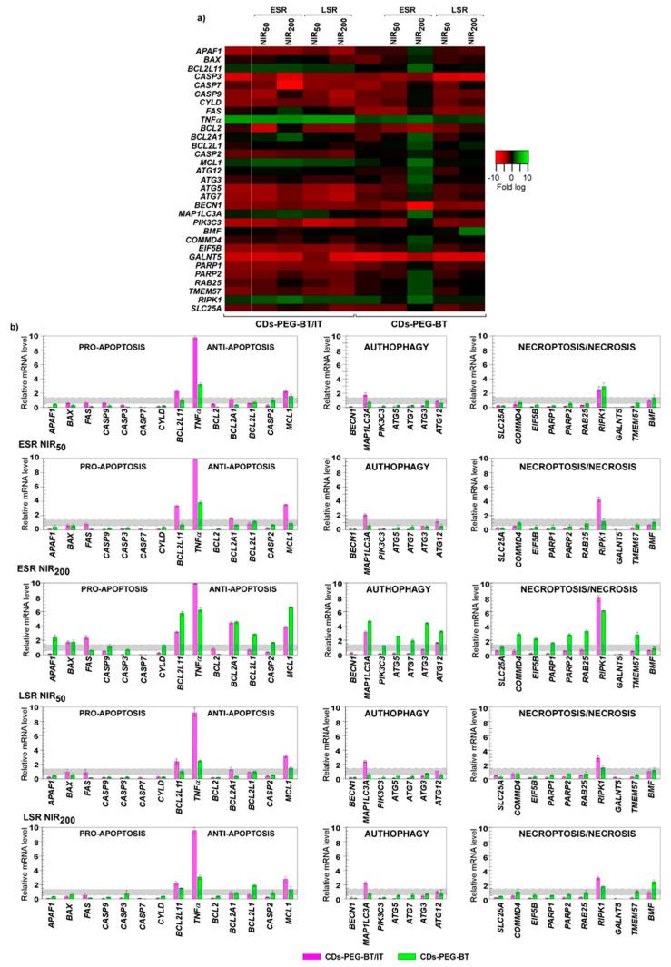 https://cdn.ncbi.nlm.nih.gov/pmc/blobs/df02/7692354/d362b03759e9/cancers-12-03114-g007.jpg