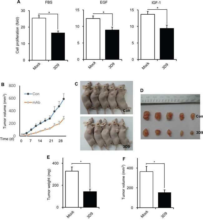 https://cdn.ncbi.nlm.nih.gov/pmc/blobs/df04/5226562/cdbffb4cb8e4/oncotarget-07-49972-g007.jpg