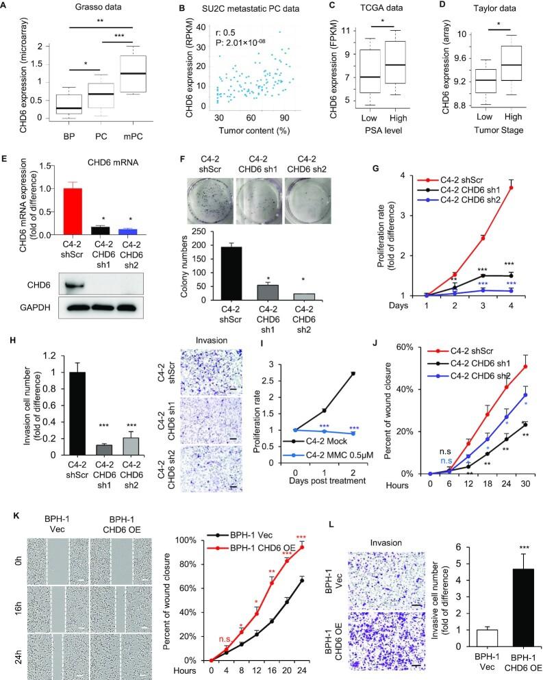 https://cdn.ncbi.nlm.nih.gov/pmc/blobs/df04/9757051/6e9128af9cf0/gkac1090fig1.jpg