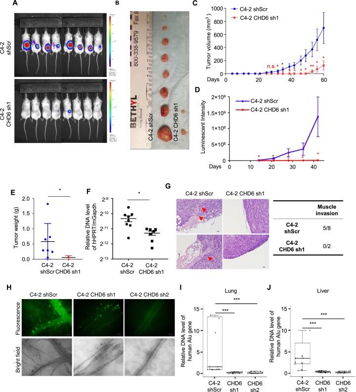 https://cdn.ncbi.nlm.nih.gov/pmc/blobs/df04/9757051/be63e29b99ad/gkac1090fig2.jpg