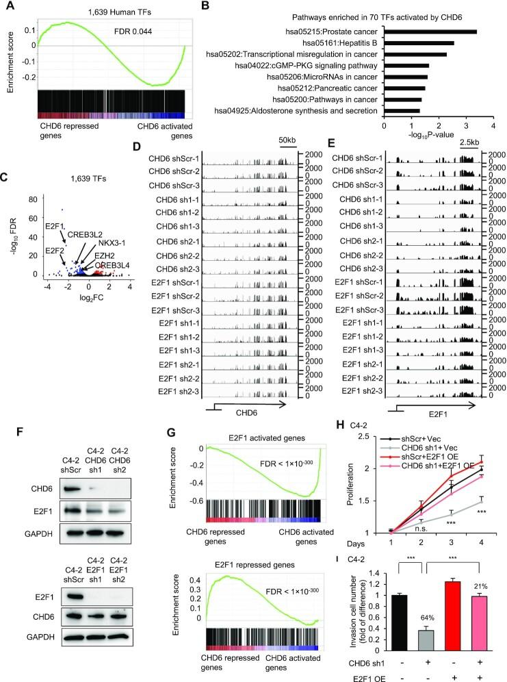 https://cdn.ncbi.nlm.nih.gov/pmc/blobs/df04/9757051/db2b45d75d7a/gkac1090fig4.jpg