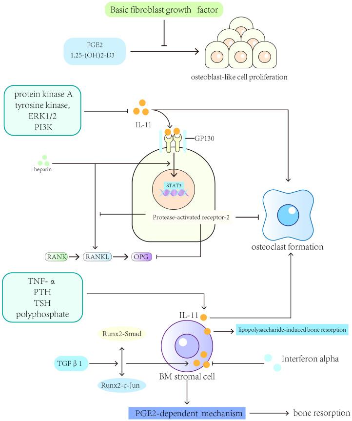 https://cdn.ncbi.nlm.nih.gov/pmc/blobs/df05/10862480/20665ef36d8c/fendo-14-1290130-g003.jpg