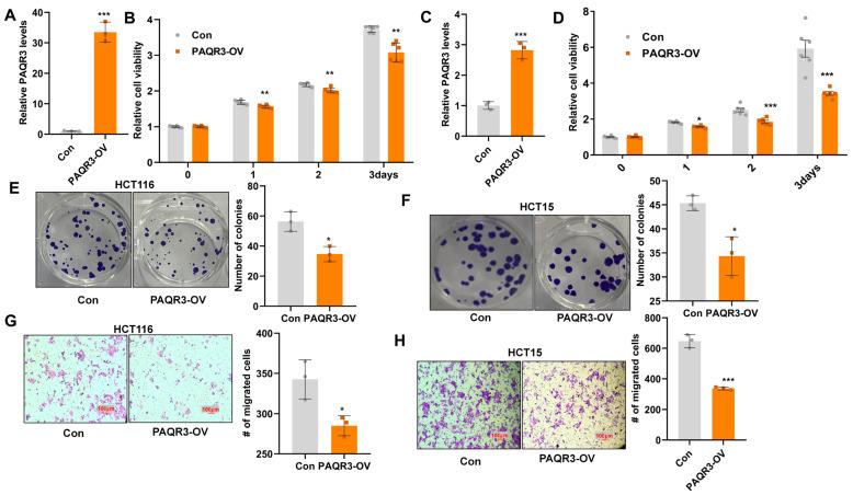 https://cdn.ncbi.nlm.nih.gov/pmc/blobs/df06/12292340/2c3c7619a5fe/biology-14-00780-g002.jpg