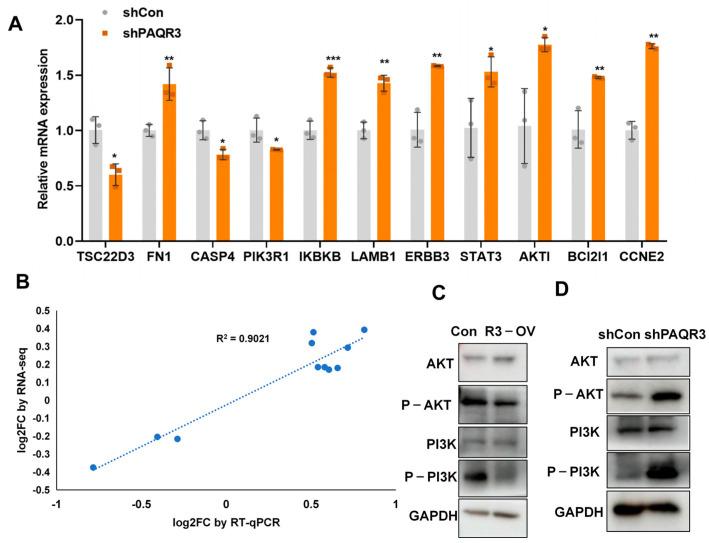 https://cdn.ncbi.nlm.nih.gov/pmc/blobs/df06/12292340/ee476bc286f6/biology-14-00780-g006.jpg