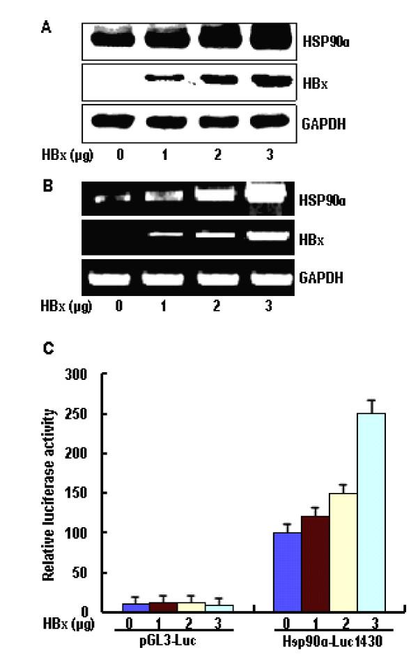 https://cdn.ncbi.nlm.nih.gov/pmc/blobs/df06/2841080/962316251ef0/1743-422X-7-45-1.jpg