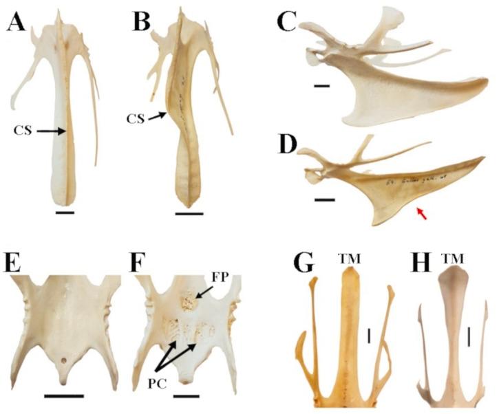 https://cdn.ncbi.nlm.nih.gov/pmc/blobs/df06/9055999/5b1de2bad867/peerj-10-13229-g003.jpg