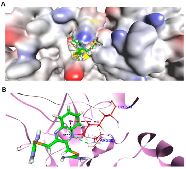 https://cdn.ncbi.nlm.nih.gov/pmc/blobs/df08/6386884/beb0d54eda28/ijms-20-00521-g008.jpg