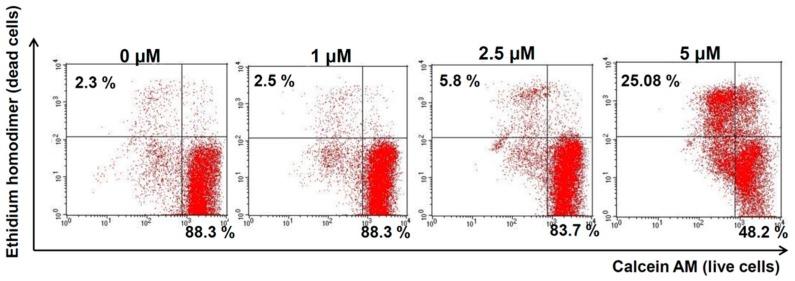 https://cdn.ncbi.nlm.nih.gov/pmc/blobs/df08/6386884/e1bcc57649c9/ijms-20-00521-g003.jpg