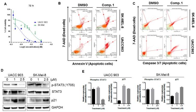 https://cdn.ncbi.nlm.nih.gov/pmc/blobs/df08/6386884/f79d1fb4b151/ijms-20-00521-g007.jpg