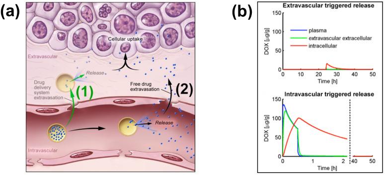 https://cdn.ncbi.nlm.nih.gov/pmc/blobs/df09/9856714/cd17bc658340/cancers-15-00398-g002.jpg