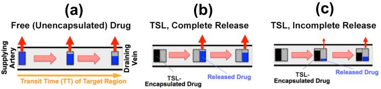 https://cdn.ncbi.nlm.nih.gov/pmc/blobs/df09/9856714/d1b34fccbae6/cancers-15-00398-g005.jpg