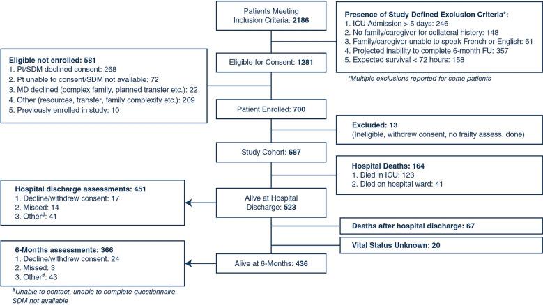 https://cdn.ncbi.nlm.nih.gov/pmc/blobs/df0e/11245420/13d933be9b9d/134_2024_7404_Fig1_HTML.jpg