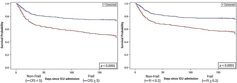 https://cdn.ncbi.nlm.nih.gov/pmc/blobs/df0e/11245420/cb79a590a8a4/134_2024_7404_Fig3_HTML.jpg