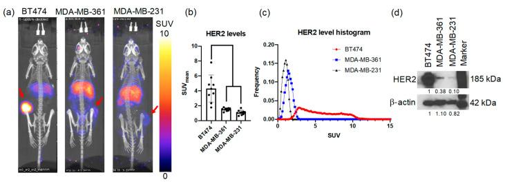 https://cdn.ncbi.nlm.nih.gov/pmc/blobs/df0e/8001650/7dd0287ccbd0/molecules-26-01568-g002.jpg
