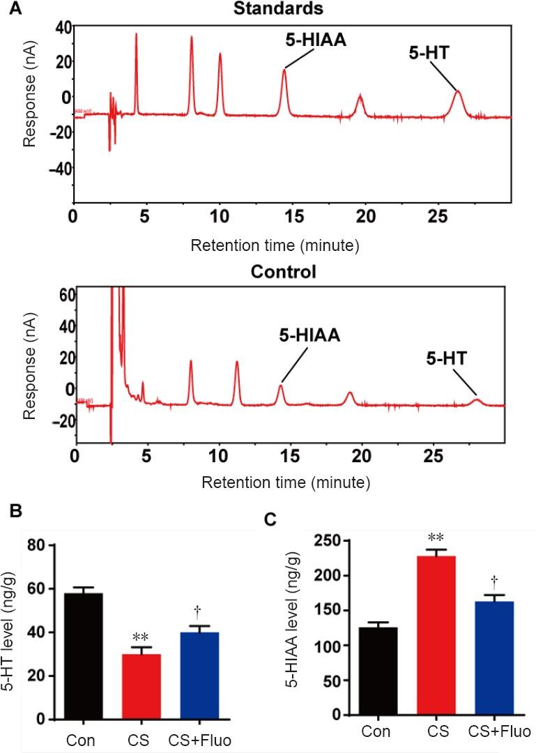 https://cdn.ncbi.nlm.nih.gov/pmc/blobs/df0f/6301170/0c31f4f67f5a/NRR-14-298-g005.jpg