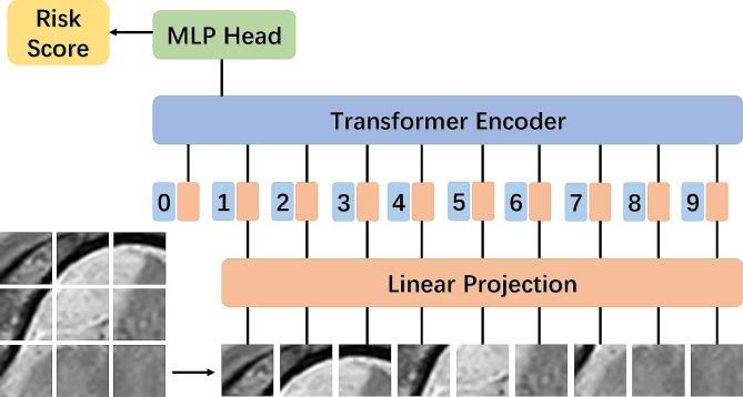 https://cdn.ncbi.nlm.nih.gov/pmc/blobs/df10/11221018/fc1505fcd01b/12885_2024_12533_Fig3_HTML.jpg