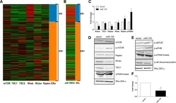 https://cdn.ncbi.nlm.nih.gov/pmc/blobs/df11/4203920/e955bef07c12/12943_2014_1435_Fig1_HTML.jpg