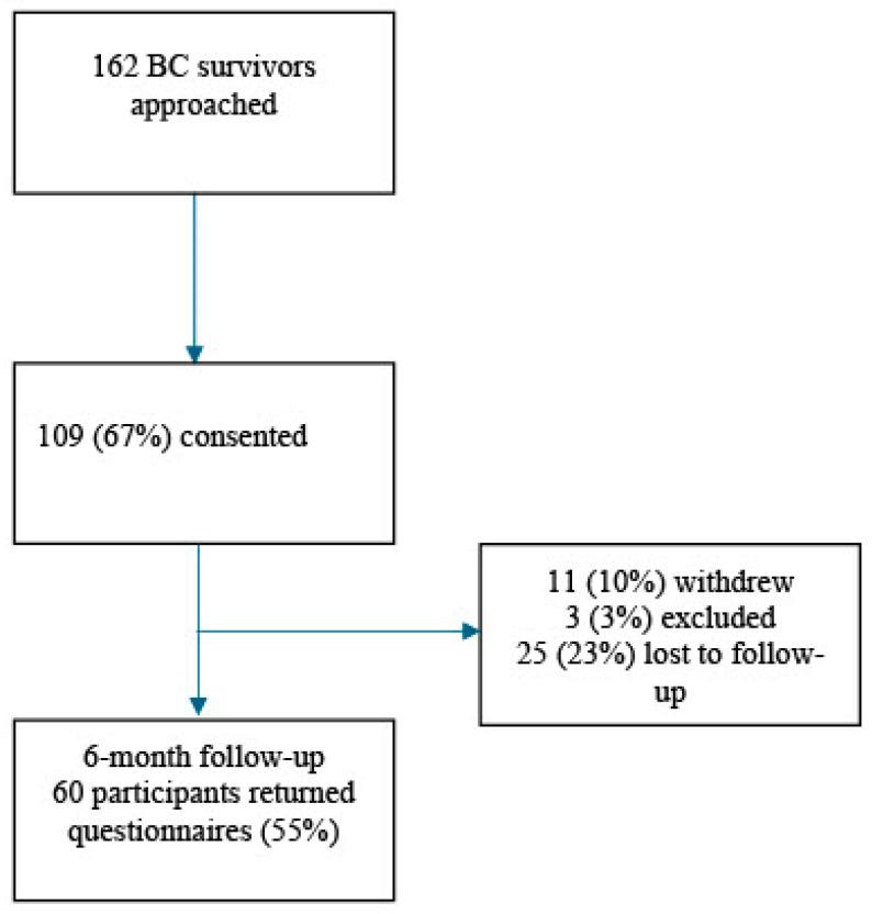 https://cdn.ncbi.nlm.nih.gov/pmc/blobs/df13/11987997/a1d0ab36a3b7/cancers-17-01087-g001.jpg