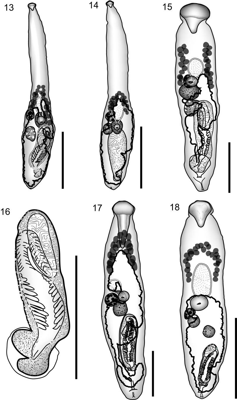 https://cdn.ncbi.nlm.nih.gov/pmc/blobs/df14/3867101/dd04105790a5/parasite-20-56-fig3.jpg