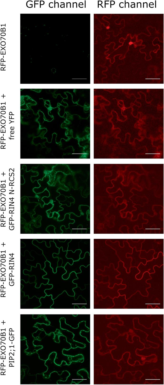 https://cdn.ncbi.nlm.nih.gov/pmc/blobs/df18/5853926/6b896bccb0ed/erx00703.jpg