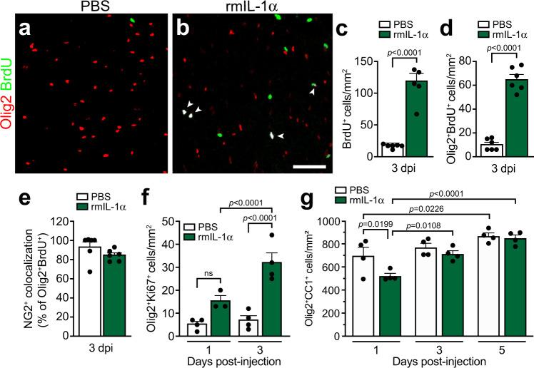 https://cdn.ncbi.nlm.nih.gov/pmc/blobs/df1a/9527244/39027e5fe4ca/41467_2022_33463_Fig3_HTML.jpg