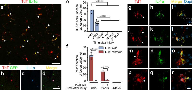 https://cdn.ncbi.nlm.nih.gov/pmc/blobs/df1a/9527244/50f2ea6031c4/41467_2022_33463_Fig1_HTML.jpg