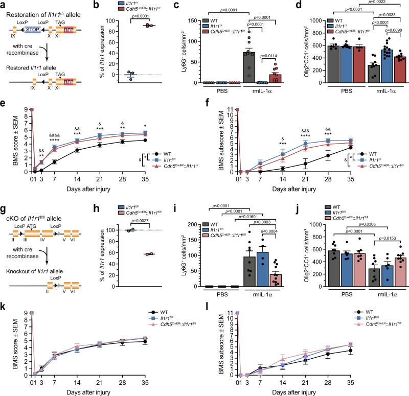 https://cdn.ncbi.nlm.nih.gov/pmc/blobs/df1a/9527244/800723bd03c5/41467_2022_33463_Fig7_HTML.jpg