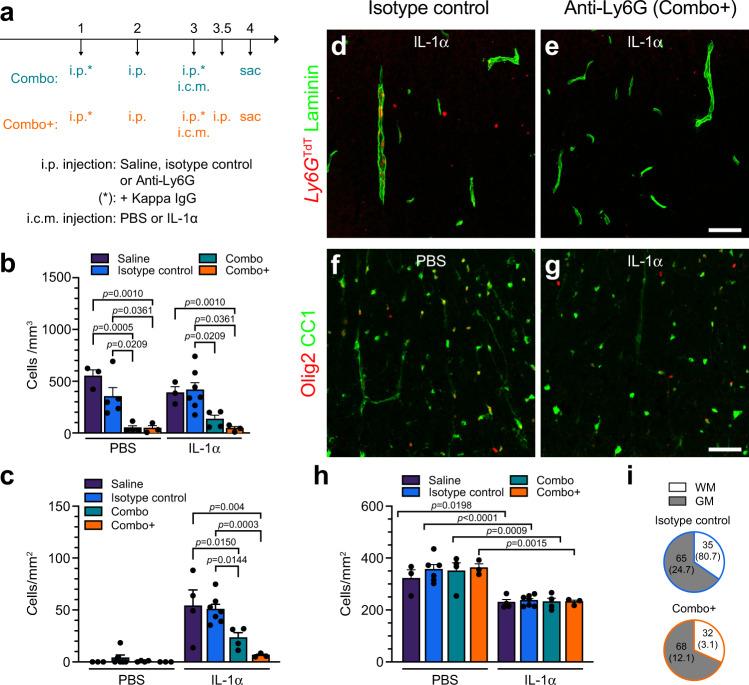 https://cdn.ncbi.nlm.nih.gov/pmc/blobs/df1a/9527244/98dba164eac8/41467_2022_33463_Fig9_HTML.jpg