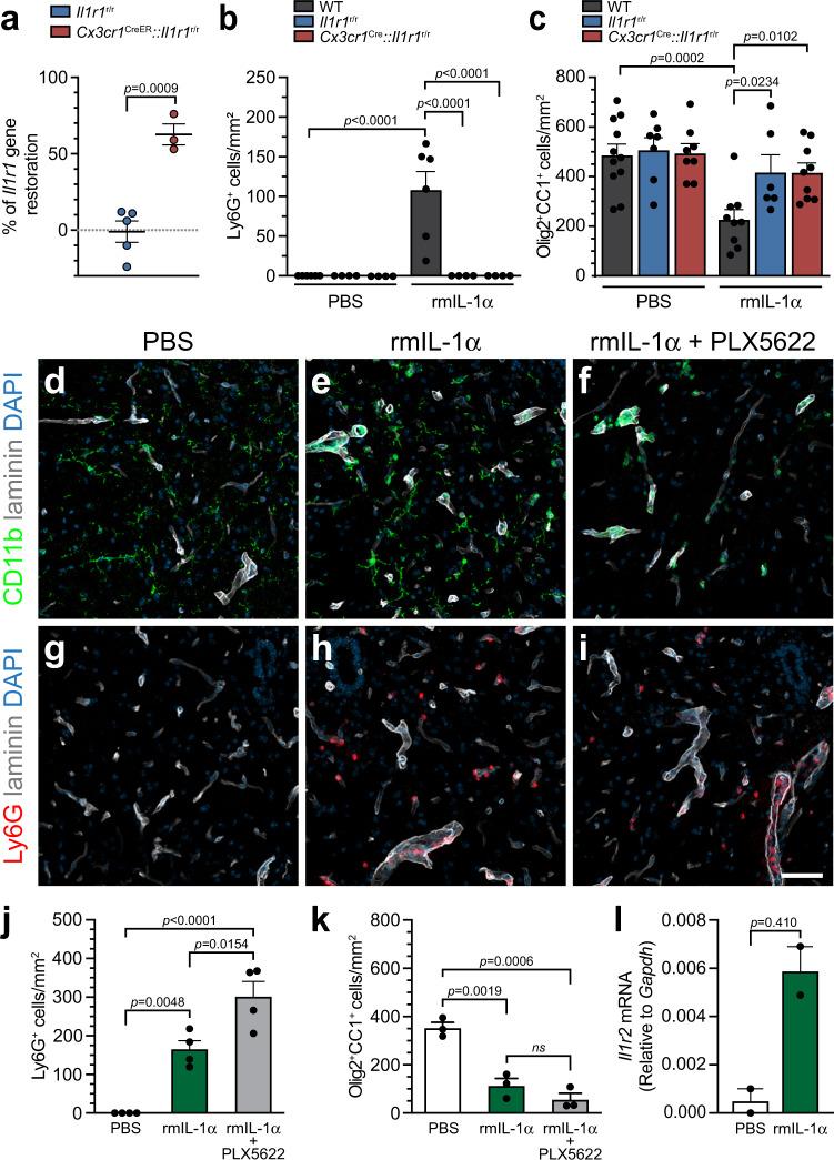 https://cdn.ncbi.nlm.nih.gov/pmc/blobs/df1a/9527244/9bf32dedcbbc/41467_2022_33463_Fig6_HTML.jpg