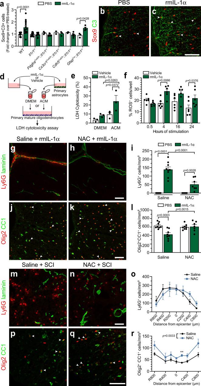 https://cdn.ncbi.nlm.nih.gov/pmc/blobs/df1a/9527244/a19eb3edc7d1/41467_2022_33463_Fig10_HTML.jpg
