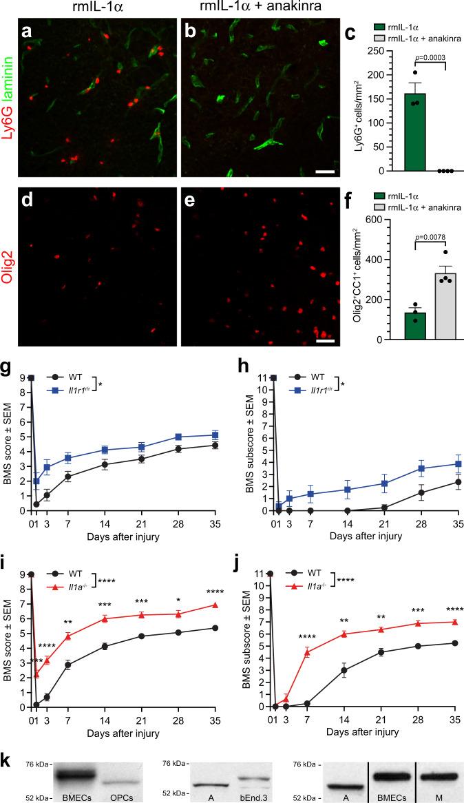 https://cdn.ncbi.nlm.nih.gov/pmc/blobs/df1a/9527244/dfd6dc33355e/41467_2022_33463_Fig4_HTML.jpg