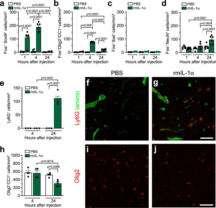 https://cdn.ncbi.nlm.nih.gov/pmc/blobs/df1a/9527244/f5bd113d982f/41467_2022_33463_Fig2_HTML.jpg