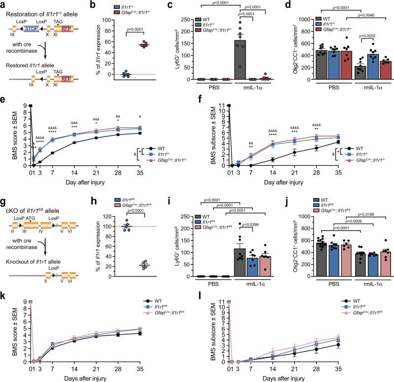https://cdn.ncbi.nlm.nih.gov/pmc/blobs/df1a/9527244/fe891cdf55f6/41467_2022_33463_Fig8_HTML.jpg