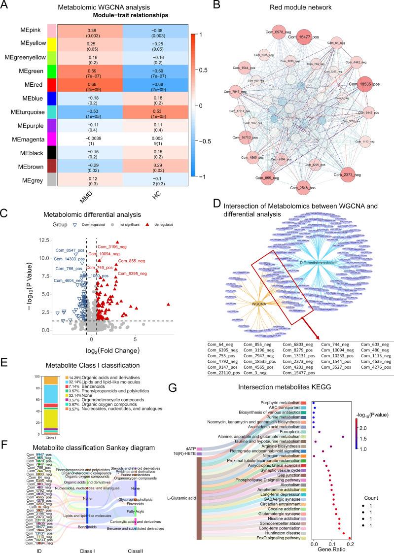 https://cdn.ncbi.nlm.nih.gov/pmc/blobs/df23/12042548/3ca241e38968/12974_2025_3446_Fig5_HTML.jpg