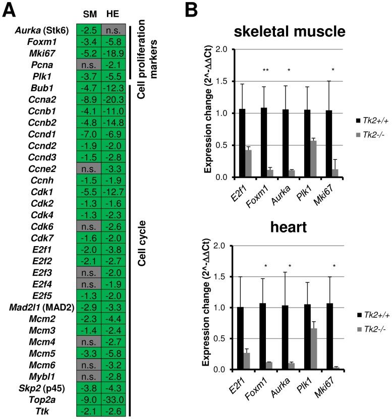 https://cdn.ncbi.nlm.nih.gov/pmc/blobs/df24/3544874/9e012e0e5844/pone.0053698.g004.jpg