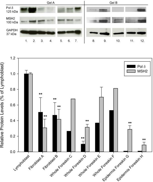 https://cdn.ncbi.nlm.nih.gov/pmc/blobs/df24/5999106/12ed5462f3f3/pone.0198011.g009.jpg