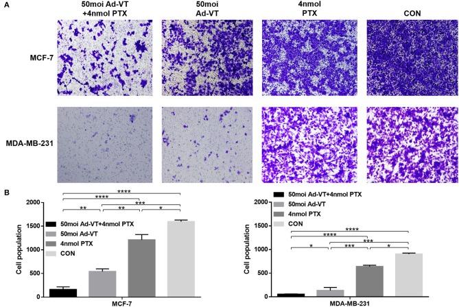 https://cdn.ncbi.nlm.nih.gov/pmc/blobs/df25/7109281/19b779292d36/fonc-10-00244-g0005.jpg