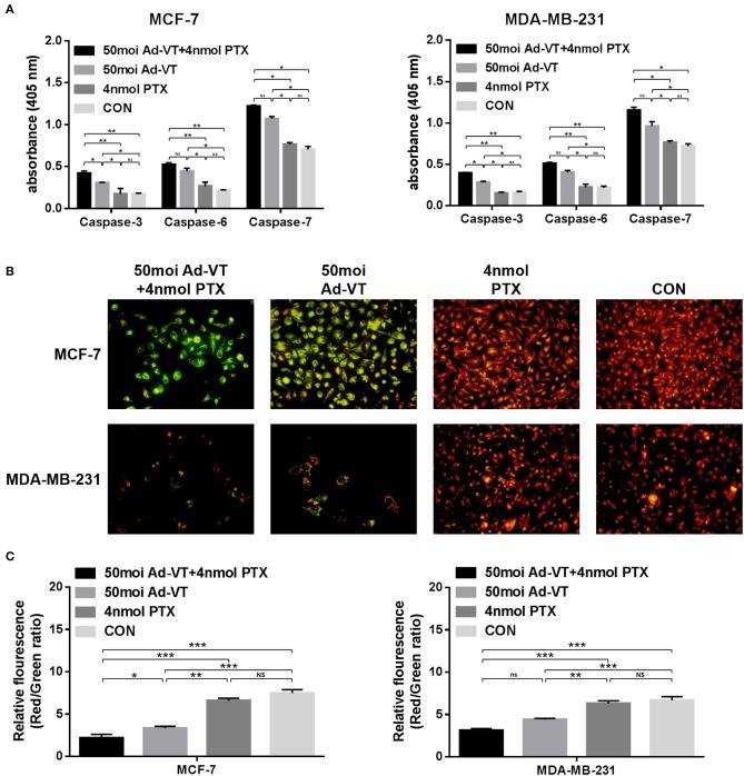 https://cdn.ncbi.nlm.nih.gov/pmc/blobs/df25/7109281/a589bc3b19d2/fonc-10-00244-g0004.jpg