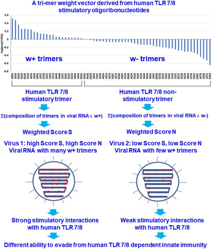 https://cdn.ncbi.nlm.nih.gov/pmc/blobs/df26/7912611/aec46eab45eb/peerj-09-11008-g001.jpg