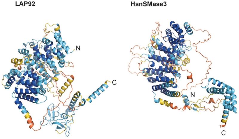 https://cdn.ncbi.nlm.nih.gov/pmc/blobs/df27/11018031/4d67089f4427/KNCL_A_2310452_F0003_OC.jpg