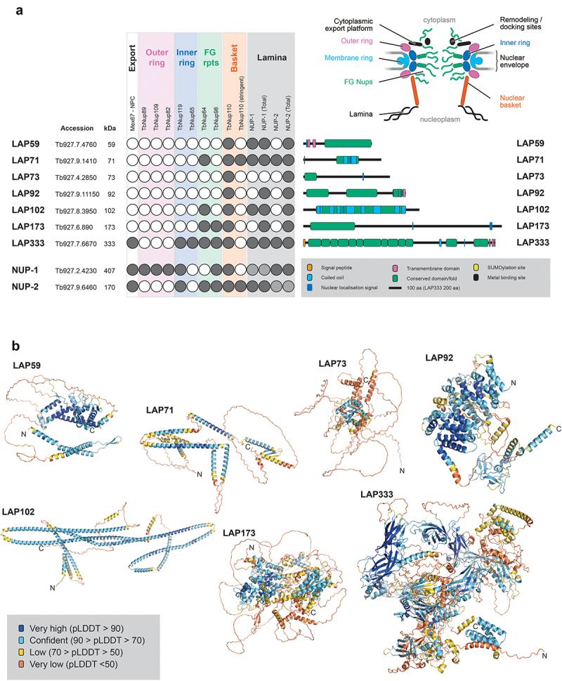 https://cdn.ncbi.nlm.nih.gov/pmc/blobs/df27/11018031/53a679310ab7/KNCL_A_2310452_F0001_OC.jpg